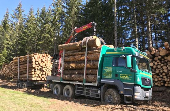 Holztransporter