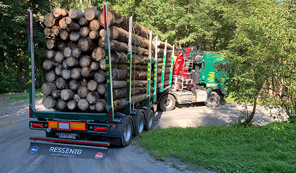 Holztransport