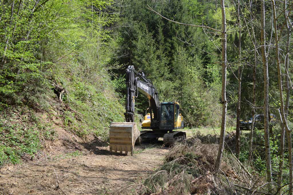 Bagger beim Wegebau im Wald