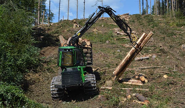 Holzschlägerung