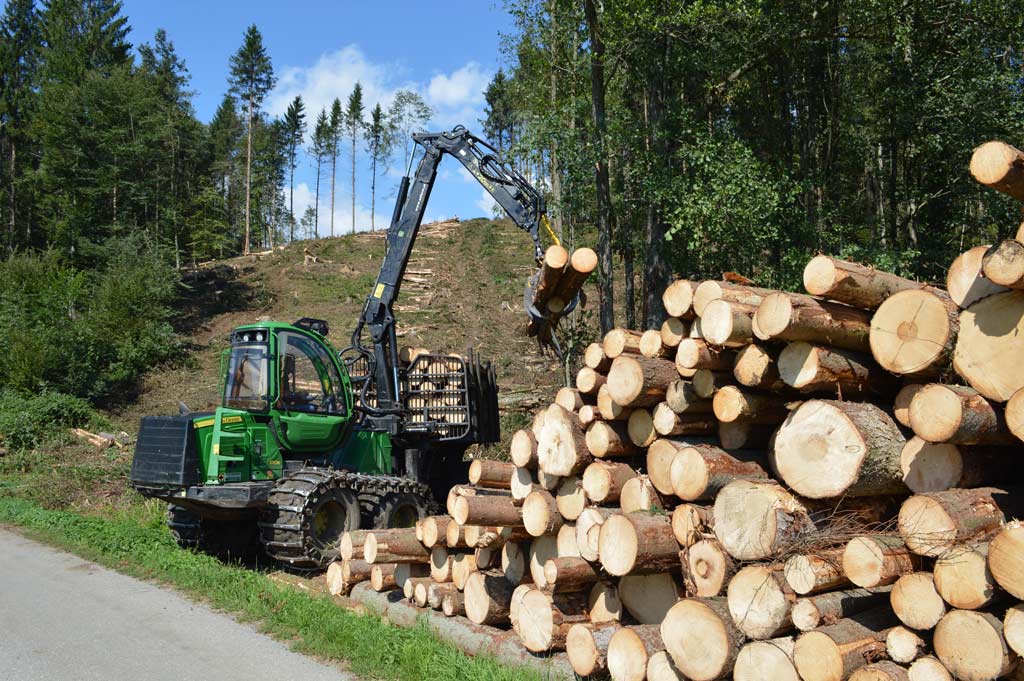 Bei der Holzernte