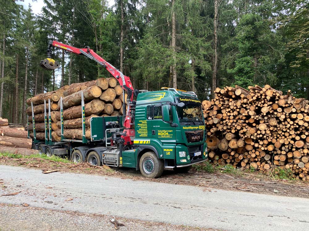 LKW mit Bagger